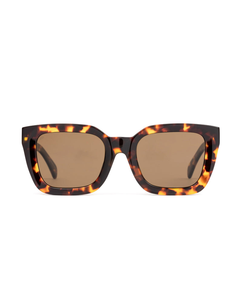 Harlow Polarized