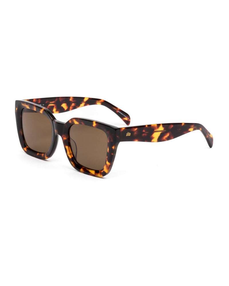 Harlow Polarized