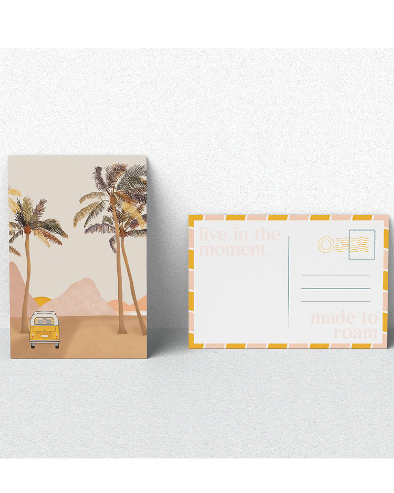 Sun Seeker Set - Coconut/Lime