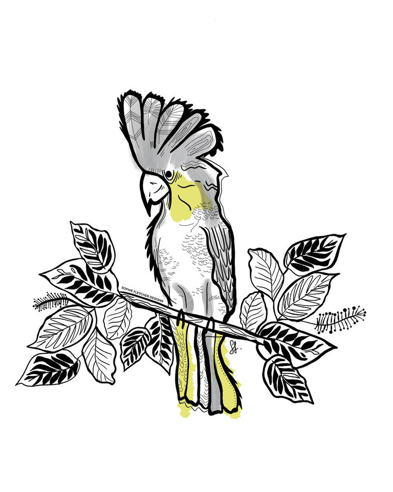 Cockatoo Sticker