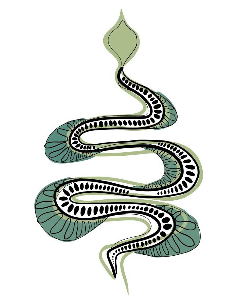 Fierce Snake Sticker