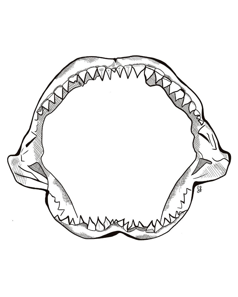 Shark Jaw Sticker