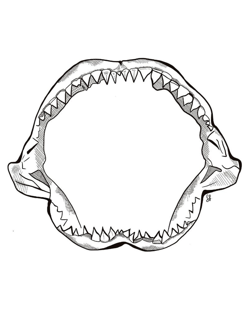 Shark Jaw Sticker