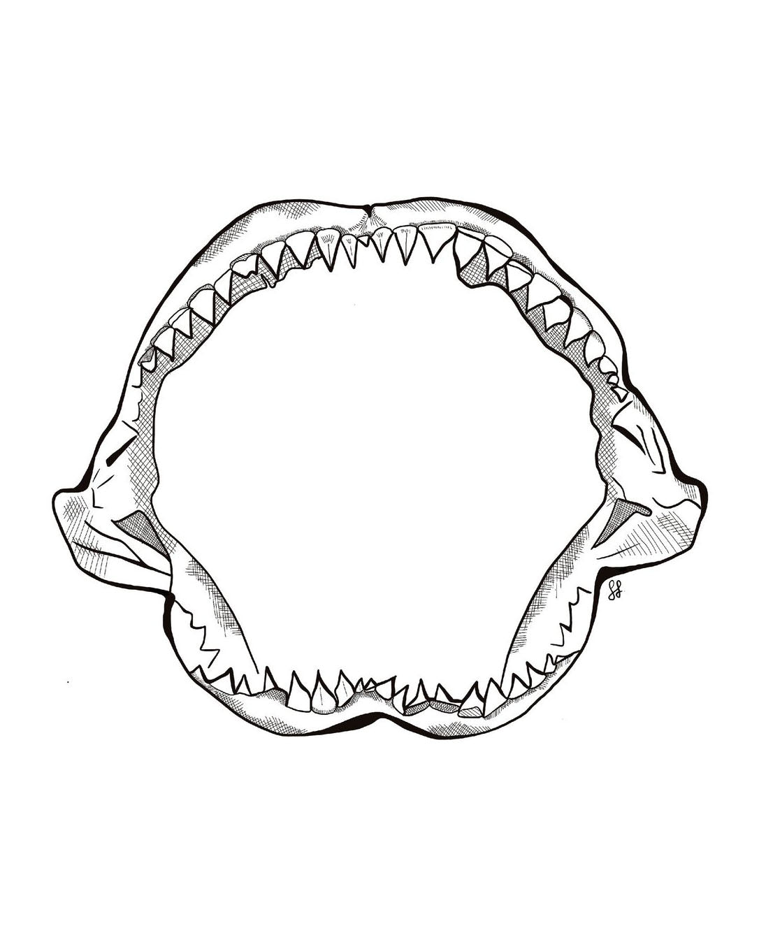 Shark Jaw Sticker