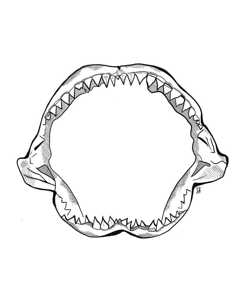 Shark Jaw Sticker