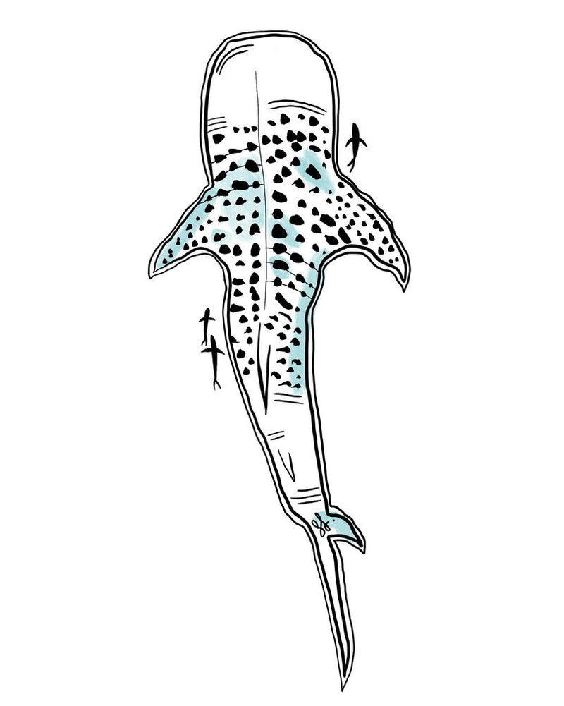 Whale Shark Sticker